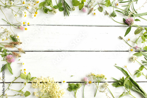 essbare Blüten Blätter Blatt Blüte Tisch Holz Holztisch essbar Wildkräuter Kräuter Gartenkräuter