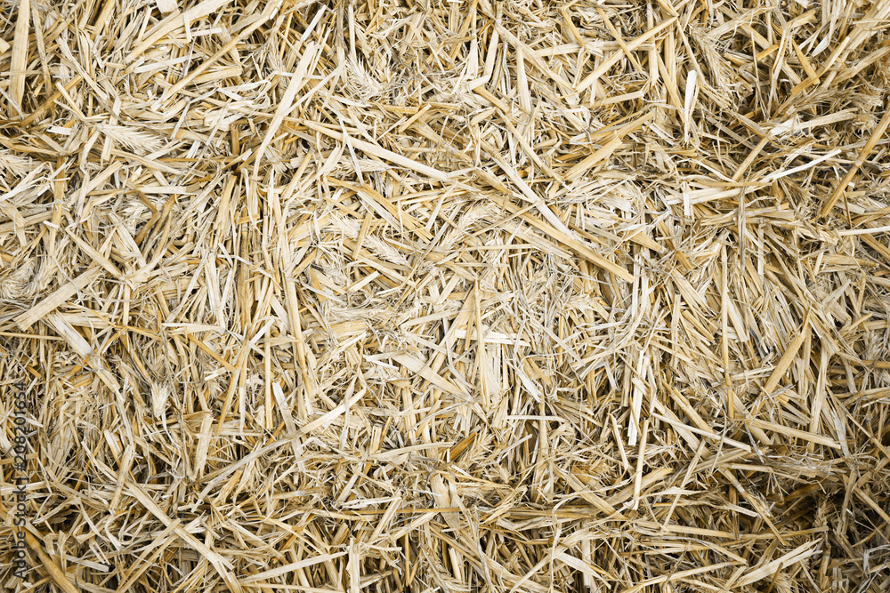 hay or straw bale close-up background texture hay or straw bale close-up background texture