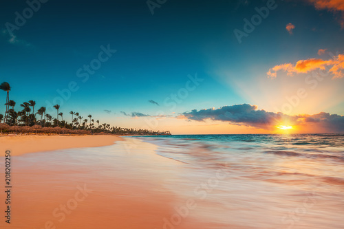 Fototapeta Naklejka Na Ścianę i Meble -  Palm and tropical beach in Punta Cana, Dominican Republic