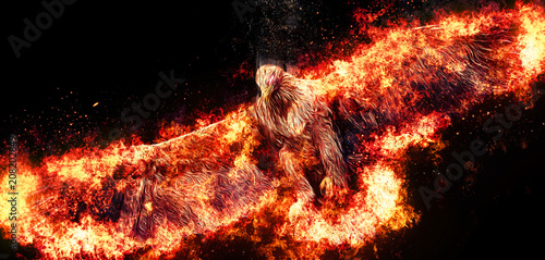 火の鳥 Stock イラスト Adobe Stock 火の鳥 Stock イラスト Adobe Stock