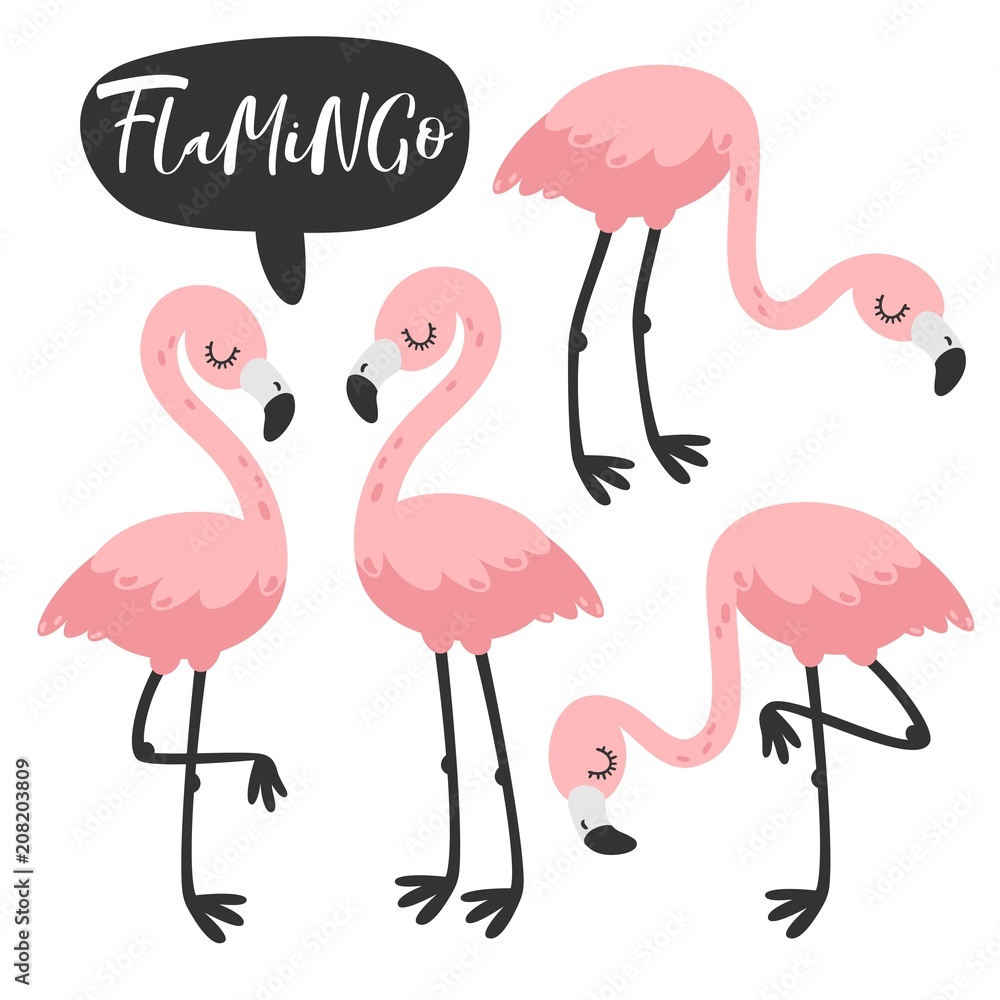 Obraz premium Pink flamingo set. Vector illustration.