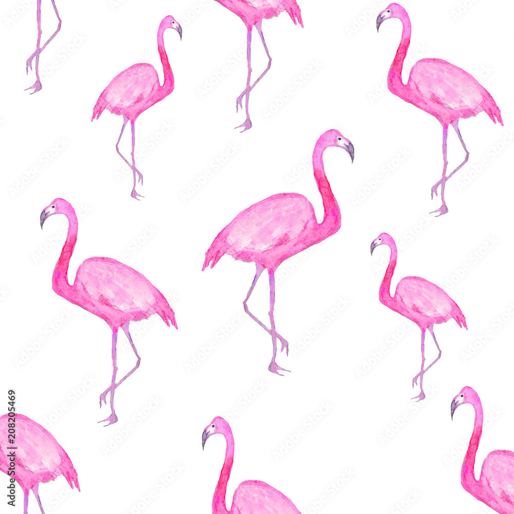 Obraz premium watercolor illustration of a flamingo