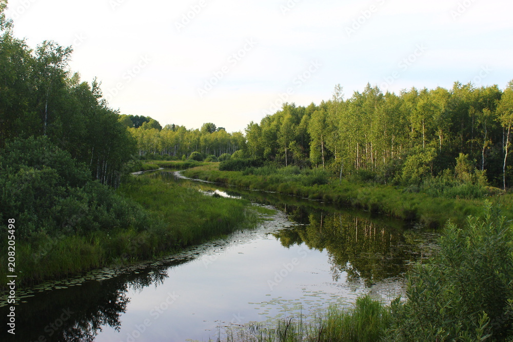 Река Глушица Река Глушица