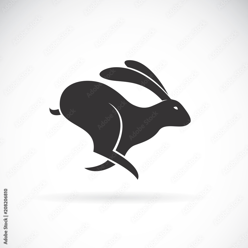 Naklejka premium Wektor czarnego królika działa na białym tle. Dzikie zwierzęta. Czarny króliczek. Łatwe edytowanie warstwowych ilustracji wektorowych.