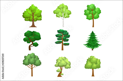 Realistic Trees Set