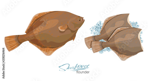 Olive Flounder. Vector illustration sea fish on ice cubes isolated on white background. Icon badge flounder fish for design seafood packaging and market.