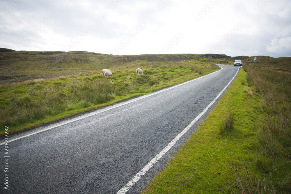Lonely road in the countryside for a car trip and disconnect from stress