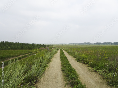 Summer landscape  field road on a cloudy day