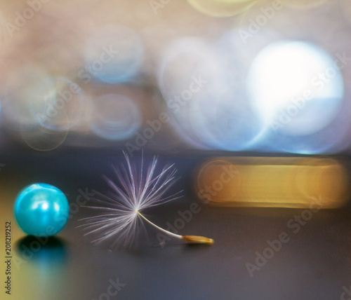 Dandelion seeds with bead and bokeh