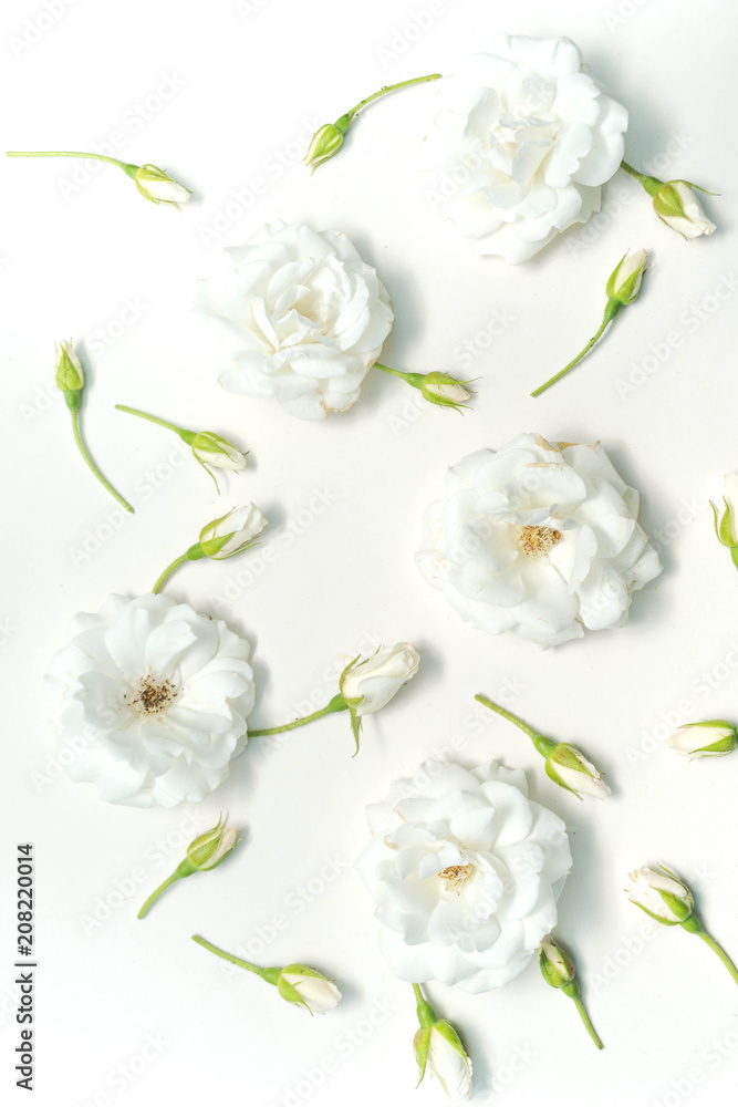 White Rose White Rose