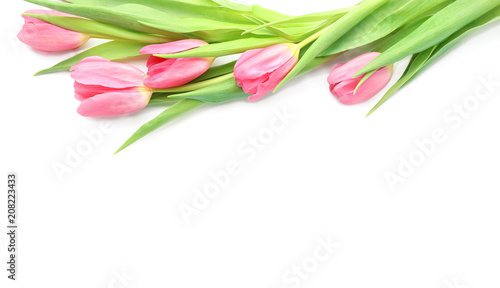 Fototapeta Naklejka Na Ścianę i Meble -  Beautiful tulips on white background