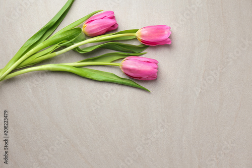 Fototapeta Naklejka Na Ścianę i Meble -  Beautiful fresh tulips on light background