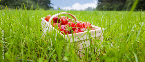 Erdbeeren im Korb