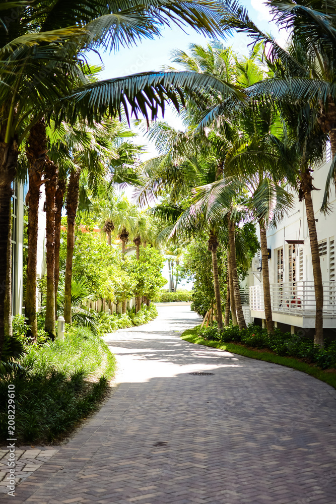 Fototapeta premium Pathway