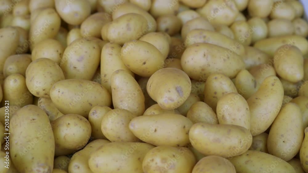 18182_Fresh_potatoes_on_the_big_boxes_on_the_table.mp4 18182_Fresh_potatoes_on_the_big_boxes_on_the_table.mp4
