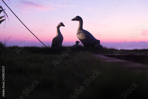 Duck doll