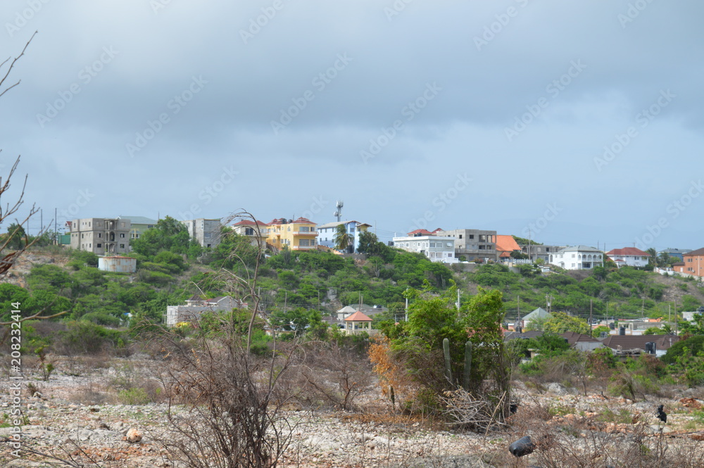 Obraz premium hillside Living