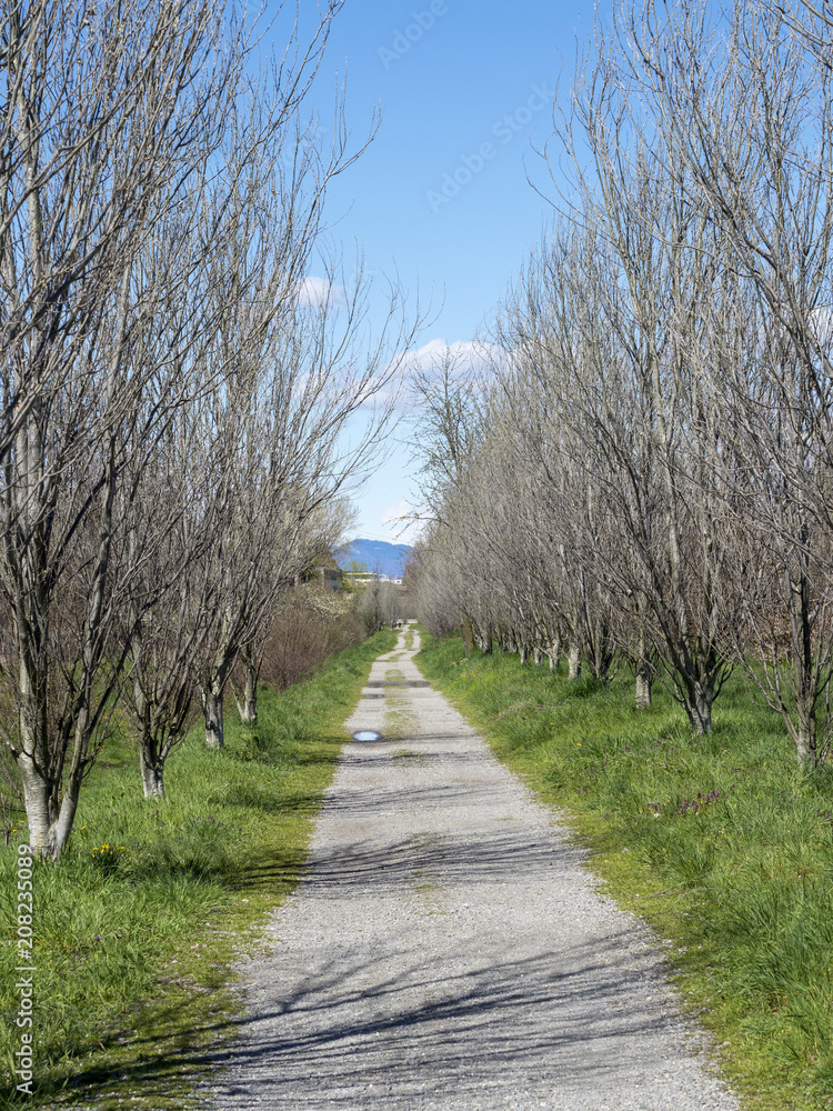 Grugnotorto Park, Milan, at springtime Grugnotorto Park, Milan, at springtime