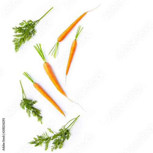 Fresh carrots and carrot stalks on white background; flat lay; organic veggetables photo