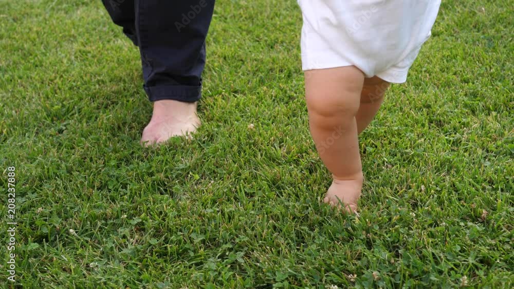Barefooted toddler baby legs with parent walking on green lawn grass play on backyard Barefooted toddler baby legs with parent walking on green lawn grass play on backyard