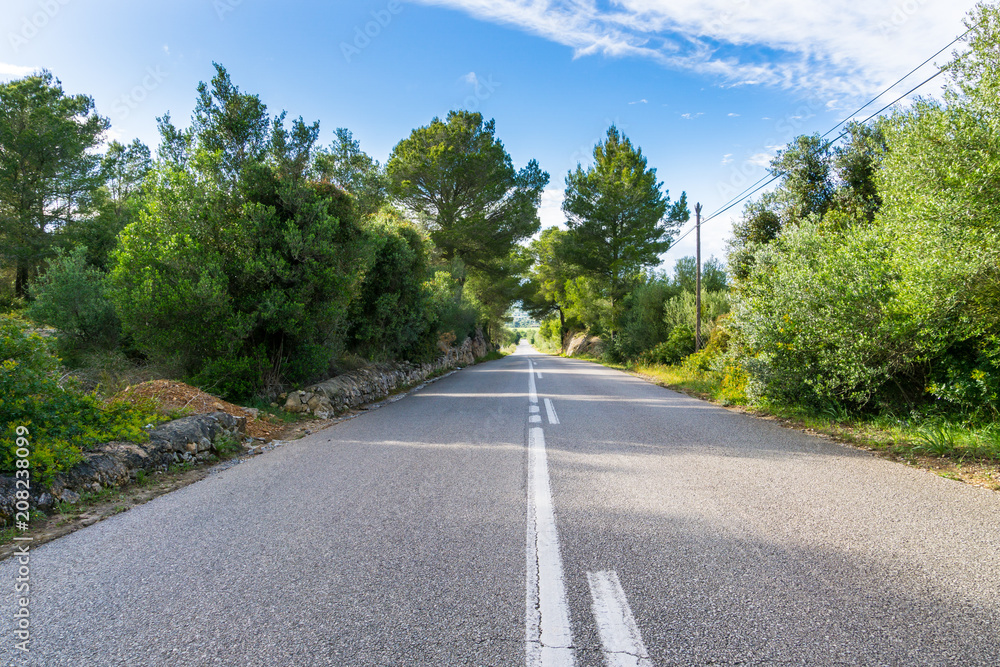 Mallorca, Endless bolt upright street through green landscape with blue sky Mallorca, Endless bolt upright street through green landscape with blue sky