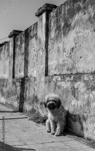 Moradores de Laguna/SC - Brasil