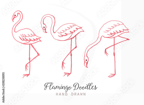 Hand drawn cartoon pink flamingo set. Cute flamingos collection. Flamingo animal exotic, nature wild fauna illustration