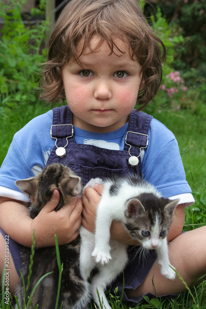 Kleinkind im Garten hält vier Wochen alte Katzenwelpen Kleinkind im Garten hält vier Wochen alte Katzenwelpen