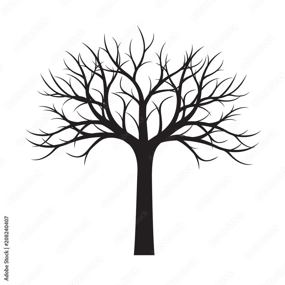 Tree Without Leaves Outline Drawing Design @ Outline.pics