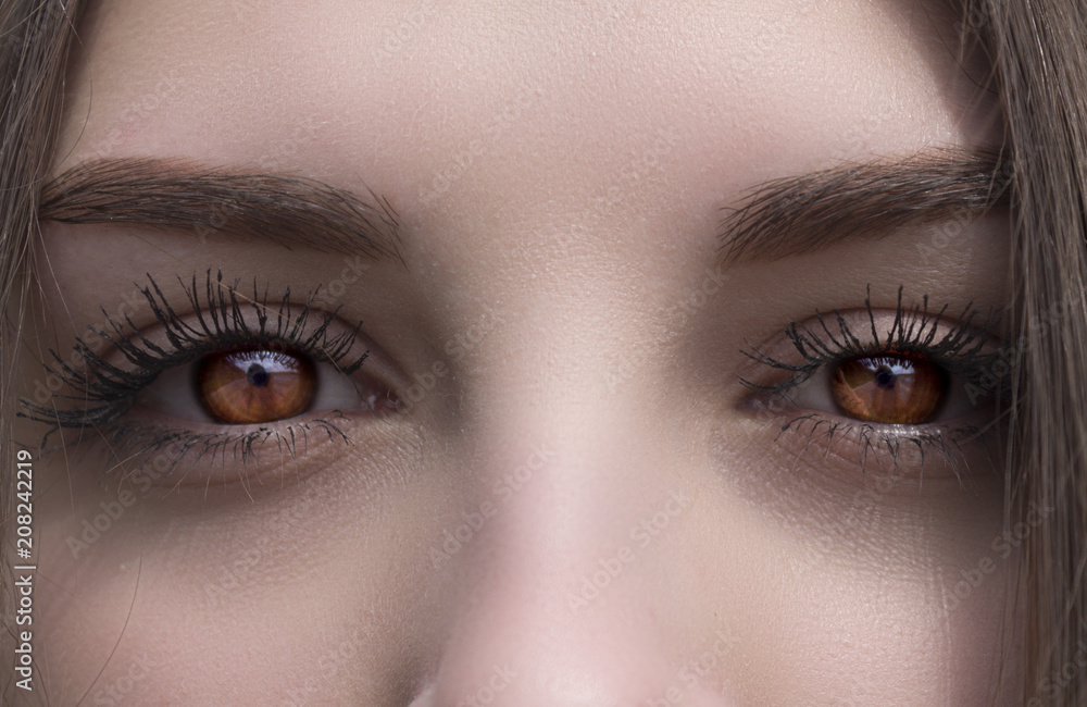 Fototapeta premium beautiful brown eyes close-up, female vampire