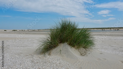 D  nenlandschaft an der Nordsee  Niederlande am Meer