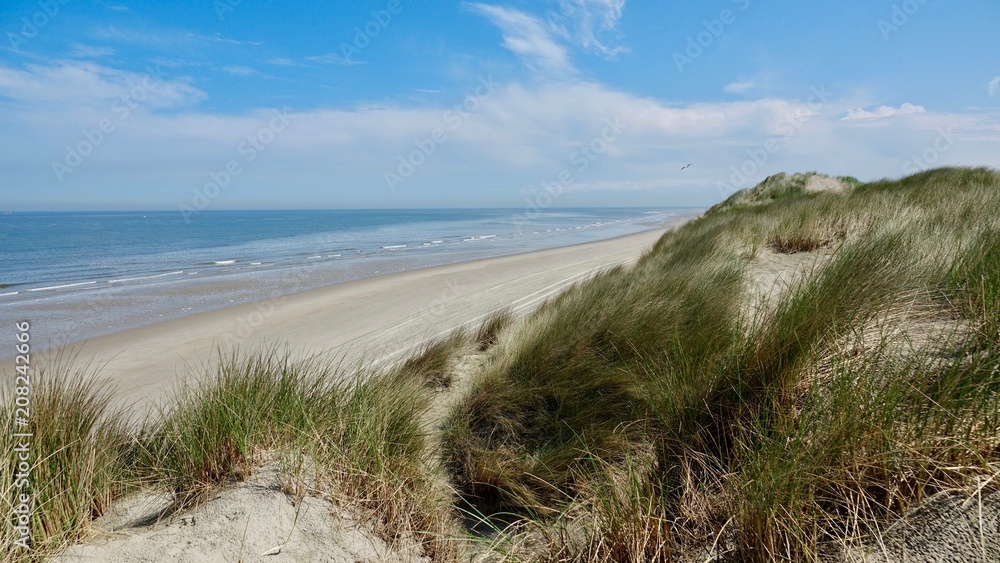 Dünenlandschaft an der Nordsee, Niederlande am Meer Dünenlandschaft an der Nordsee, Niederlande am Meer