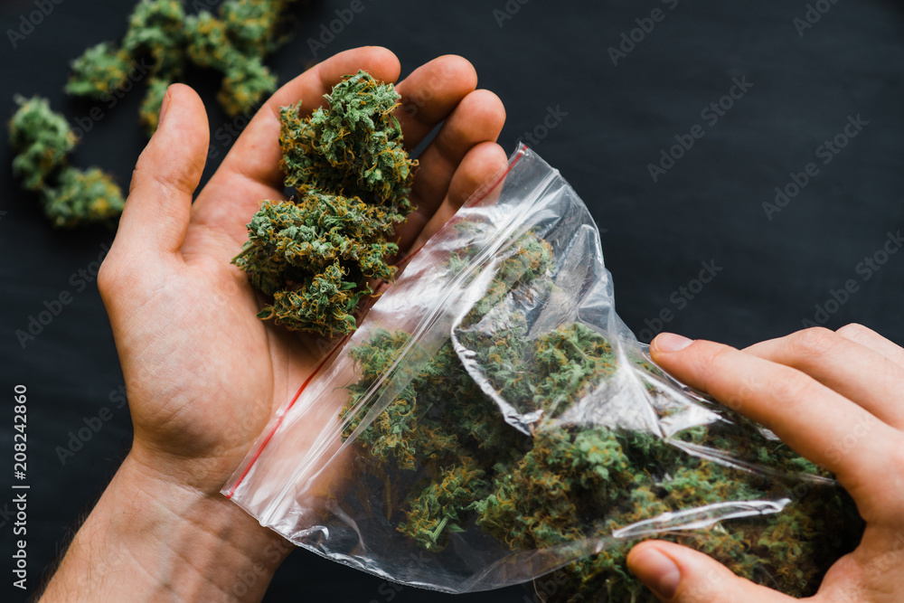 Freshebuds discount