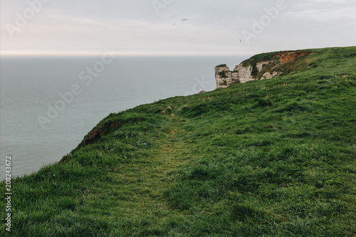 green meadow on cliff over sea at Etretat, France