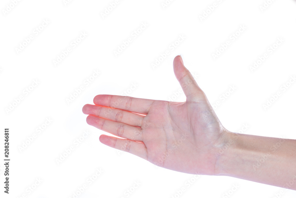 Open woman hand on white background Open woman hand on white background