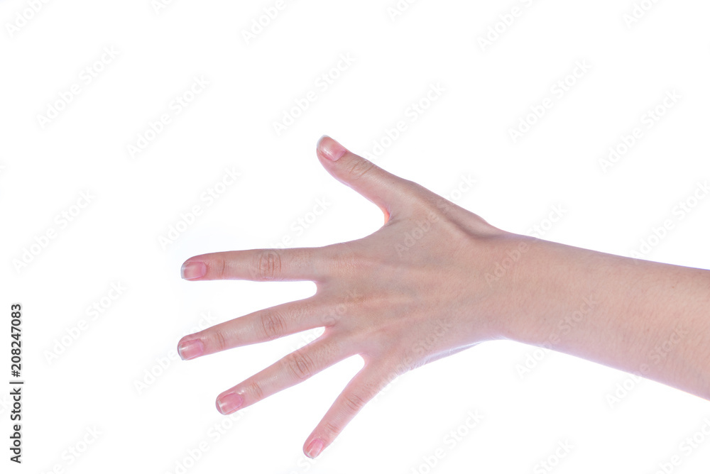 Open woman hand on white background Open woman hand on white background