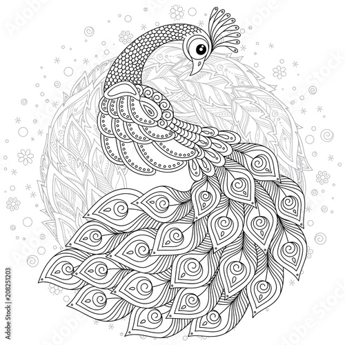 Peacock in zentangle style. Adult antistress coloring page.