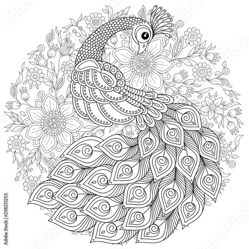Peacock in zentangle style. Adult antistress coloring page.