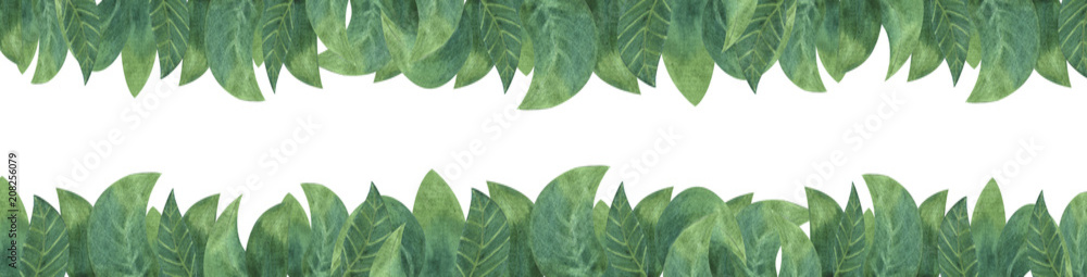Fototapeta premium Green leaaves on white isolated Background. Concept. Collage