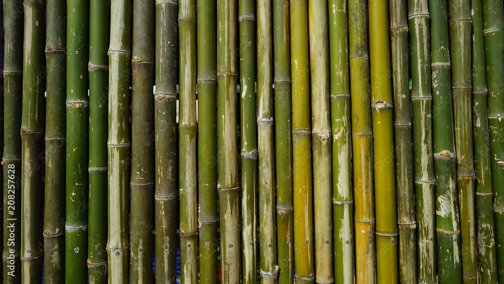 bamboo wall background texture pattern brown nature garden house wallpaper line
bamboo wall background texture pattern brown nature garden house wallpaper line