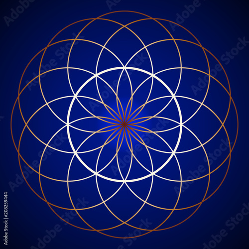 Golden Torus Yantra Symbol on background
