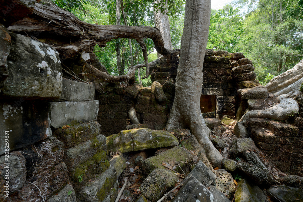CAMBODIA SIEM REAP ANGKOR TA PROHM TEMPLE CAMBODIA SIEM REAP ANGKOR TA PROHM TEMPLE