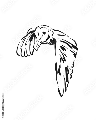 Vector sketch flying owl
