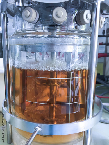 Ethanol fermentation using yeast in laboratory fermentor or fermenter photo