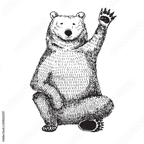 Sketch of a waving bear. Vector illustration