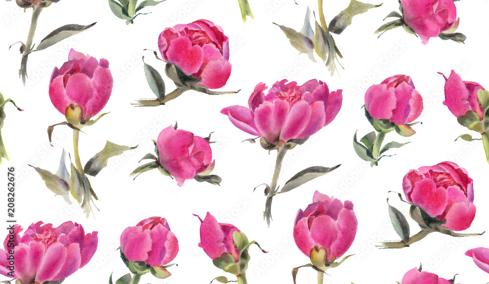 Peonies Peonies