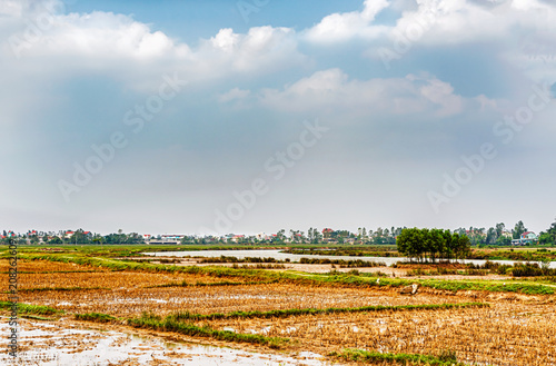 Rice fields near Nghia Trung in Vietnam. photo