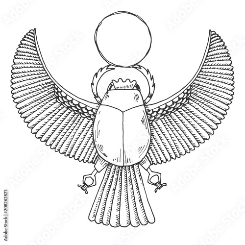 Sketch of the Egyptian scarab. Vector illustration