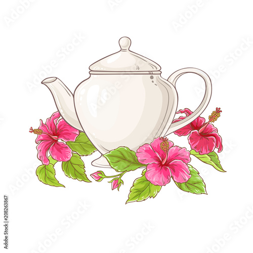 hibiscus tea illustration