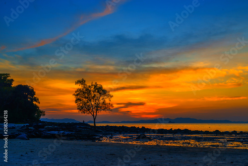 Tropical beach at sunset